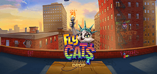 Fly Cats Dream Drop