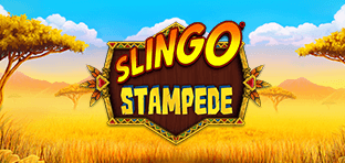 Slingo Stampede