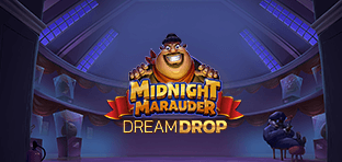 Midnight Marauder Dream Drop